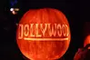 dollywood pumpkin