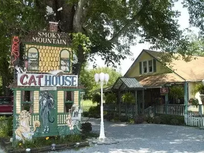 Smoky Mountain Cat House