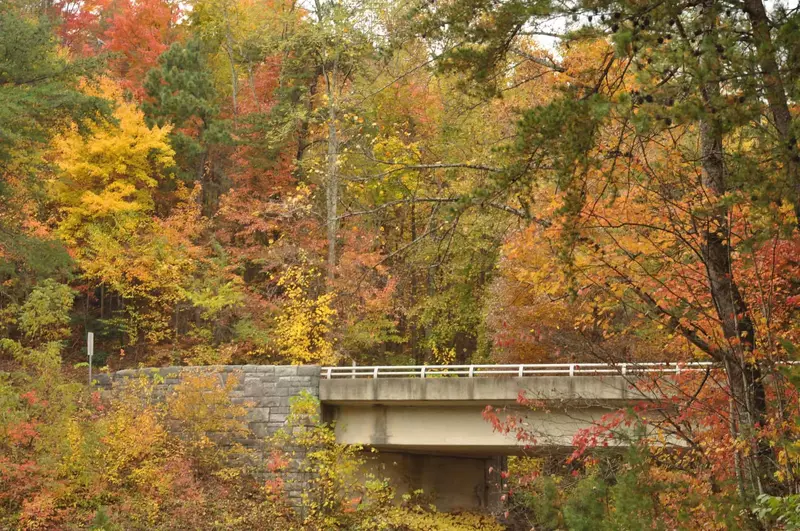 bridge in the smoky mountains with fall colors