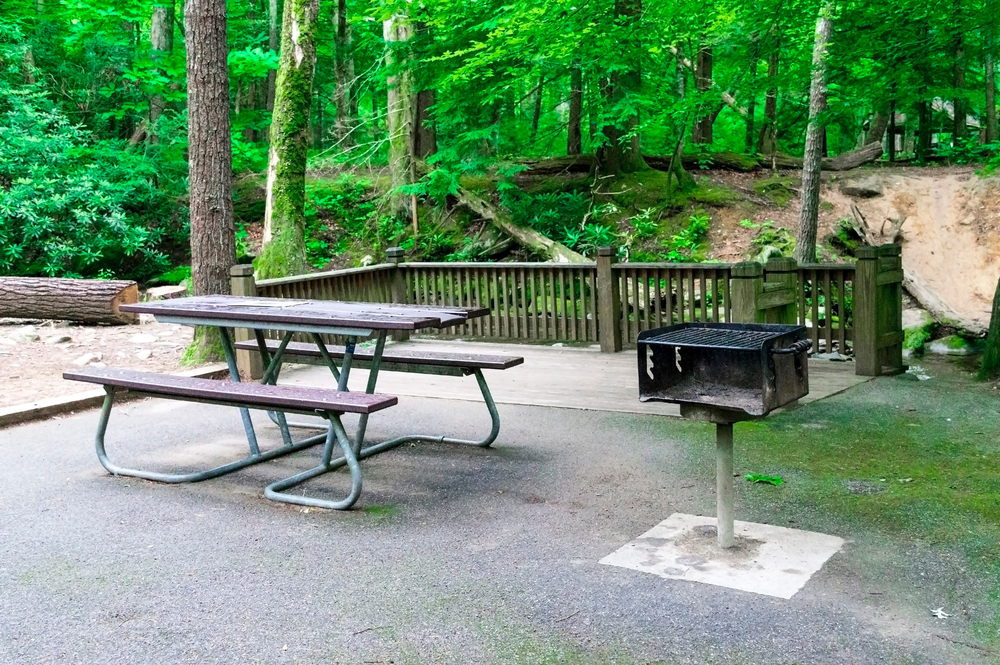 picnic table and grill in Smoky Mountains