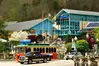 Ripley's Aquarium of the Smokies - one of the top indoor activities in Gatlinburg