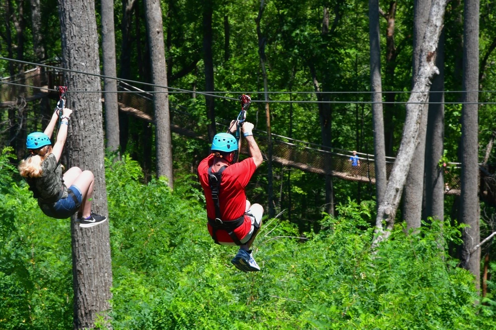 anakeesta zipline (1)