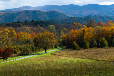 view of Cades Cove in fall