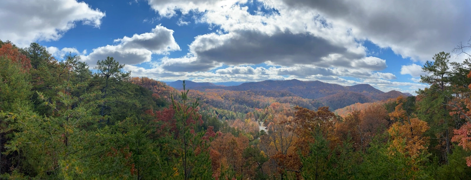 The Hidden Owl Mountain Lodge