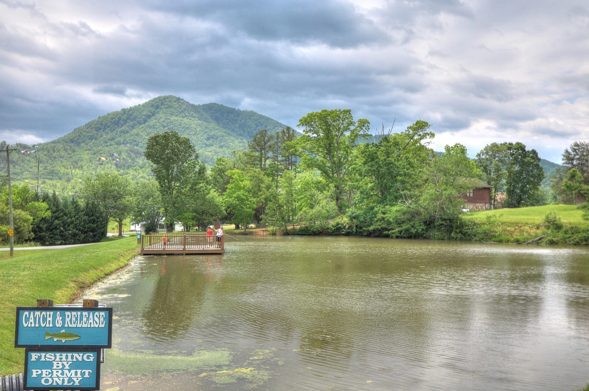 The Hidden Owl Mountain Lodge