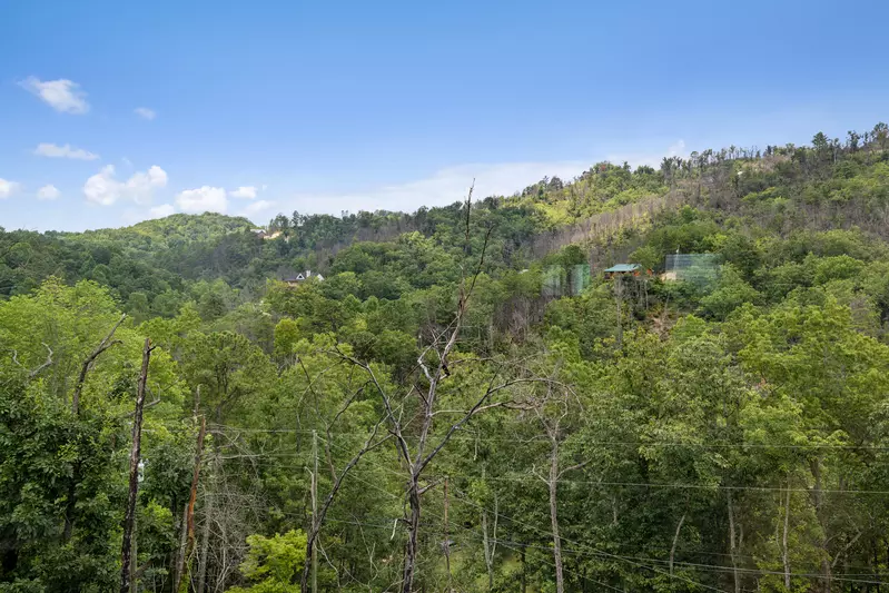 Hatcher Mountain Hideaway