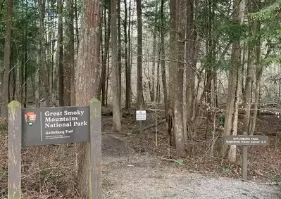 dog-friendly trail in gatlinburg