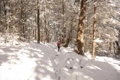 hiker in Smoky Mountains winter