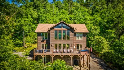 A Tree Top View